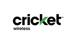 Sheppard Redefining Voiceover cricket logo